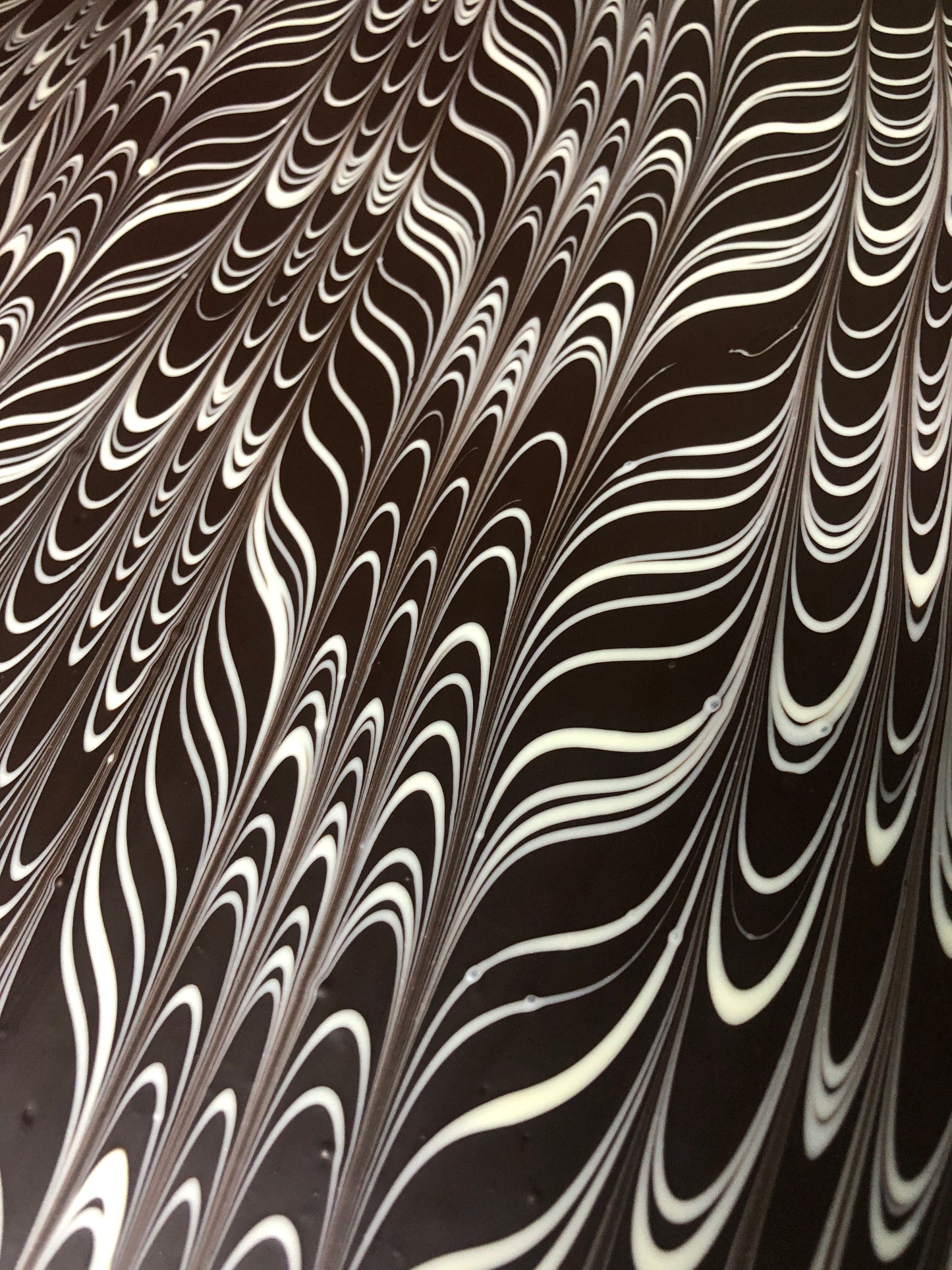 Wholesale & Bulk Chocolate Bark